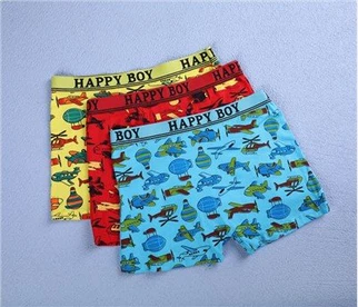 Erkek Çocuk İç Giyim Organik